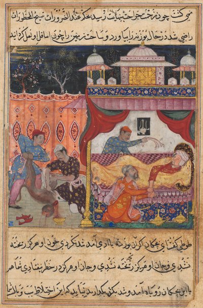 Página de Cuentos de un Loro Tuti-nama: Quinta noche: El mono asesinado, su sangre..., c. 1560 de Unbekannt