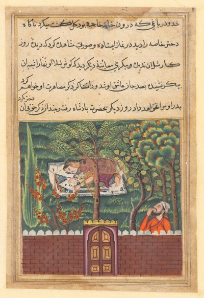 Página de Cuentos de un loro Tuti-nama: Quincuagésima primera noche: Khulasa, un visir, ve..., c1560 de Unbekannt