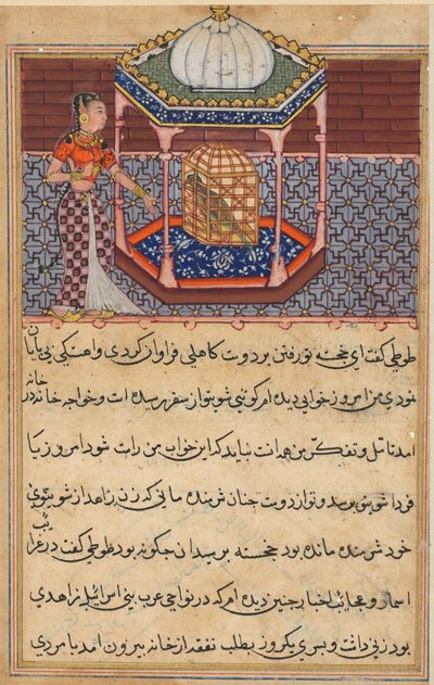 Página de Cuentos de un Loro Tuti-nama: Quincuagésima segunda noche: El loro se dirige a Khujasta..., c. 1560 de Unbekannt