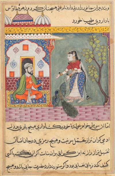 Página de Cuentos de un loro Tuti-nama: Decimonovena noche: La esposa del brahmán..., c. 1560 de Unbekannt