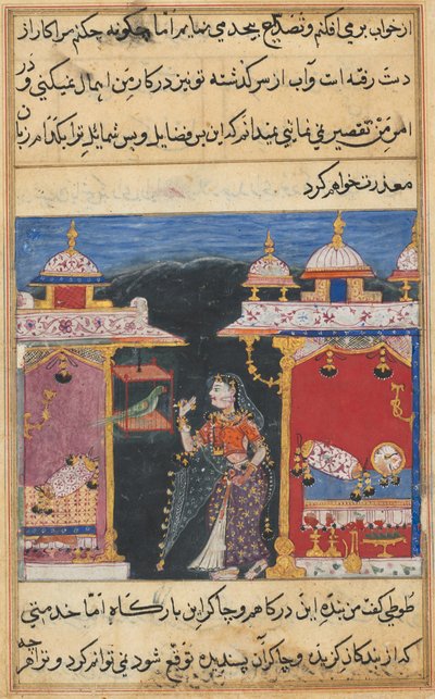 Página de Cuentos de un loro Tuti-nama: Séptima noche: El loro se dirige a Khujasta..., c. 1560 de Unbekannt