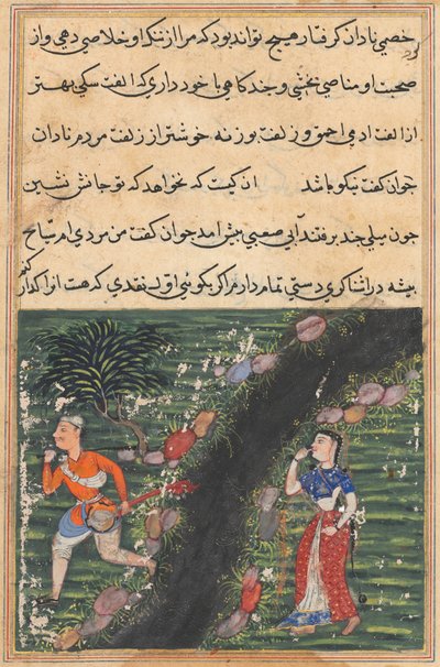 Página de Cuentos de un loro Tuti-nama: Decimosexta noche: El vagabundo cruza..., c. 1560 de Unbekannt