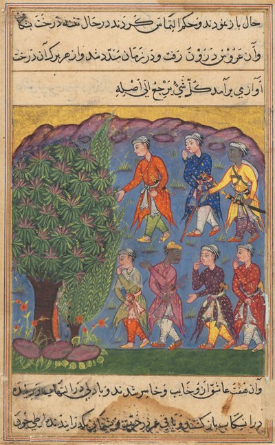 Página de Cuentos de un loro Tuti-nama: Sexta noche: Siete hombres disputando la posesión..., c. 1560 de Unbekannt