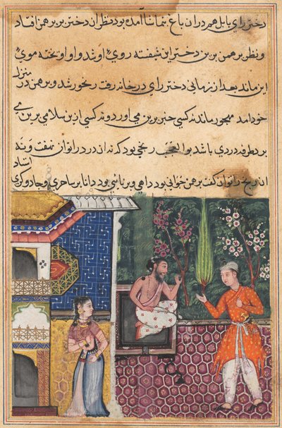 Página de Cuentos de un loro Tuti-nama: Trigésima quinta noche: El brahmán da..., c. 1560 de Unbekannt