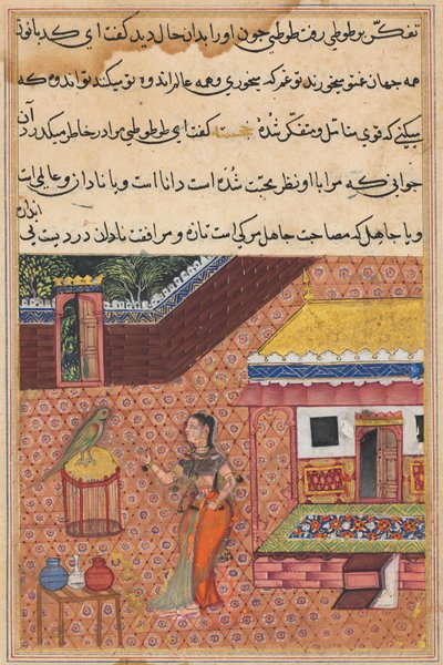 Página de Cuentos de un loro Tuti-nama: Trigésima cuarta noche: El loro se dirige a Khujasta..., c. 1 de Unbekannt