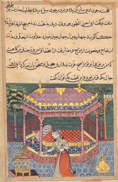 Página de Cuentos de un loro Tuti-nama: Trigésima séptima noche: El loro se dirige a Khujasta..., c. 15 de Unbekannt