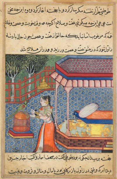 Página de Cuentos de un loro Tuti-nama: Trigésima sexta noche: El loro se dirige a Khujasta..., c. 15 de Unbekannt