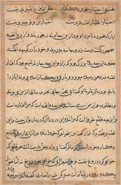 Página de Cuentos de un loro Tuti-nama: página de texto, c. 1560 de Unbekannt