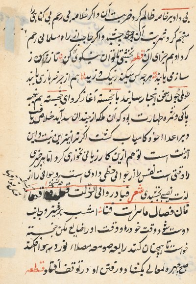 Página de Cuentos de un Loro Tuti-nama: página de texto, c. 1560 de Unbekannt