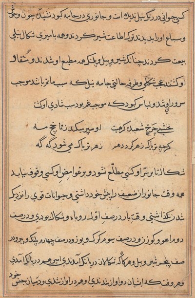 Página de Cuentos de un loro Tuti-nama: página de texto, c. 1560 de Unbekannt