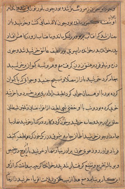 Página de Cuentos de un Loro Tuti-nama: página de texto, c. 1560 de Unbekannt