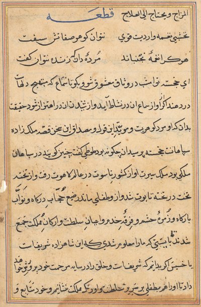 Página de Cuentos de un Loro Tuti-nama: página de texto, c. 1560 de Unbekannt