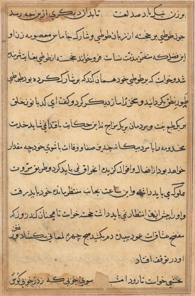 Página de Cuentos de un loro Tuti-nama: página de texto, c. 1560 de Unbekannt