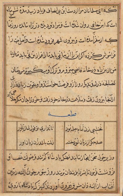 Página de Cuentos de un loro Tuti-nama: página de texto, c. 1560 de Unbekannt