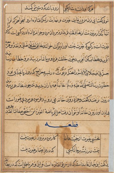 Página de Cuentos de un loro Tuti-nama: página de texto, c. 1560 de Unbekannt