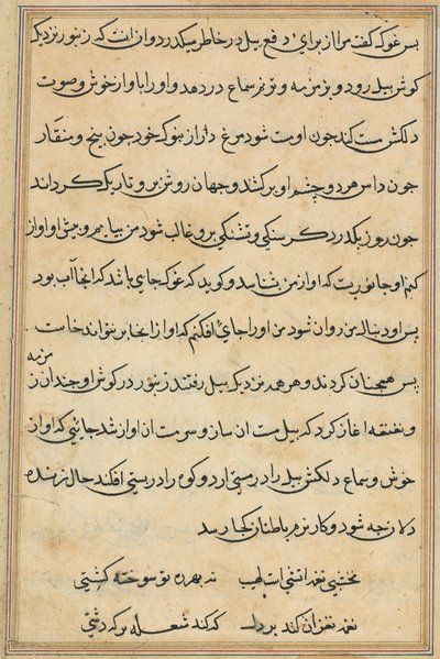 Página de Cuentos de un loro Tuti-nama: página de texto, c. 1560 de Unbekannt