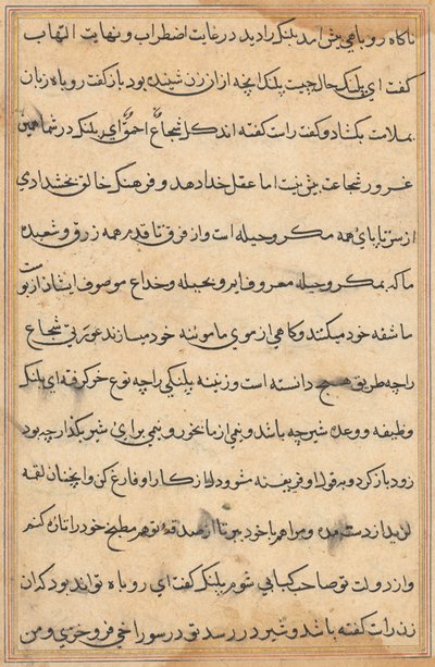 Página de Cuentos de un loro Tuti-nama: página de texto, c. 1560 de Unbekannt