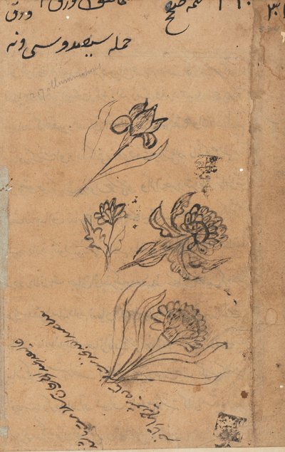Página de Cuentos de un Loro Tuti-nama: página de texto, c. 1560 de Unbekannt