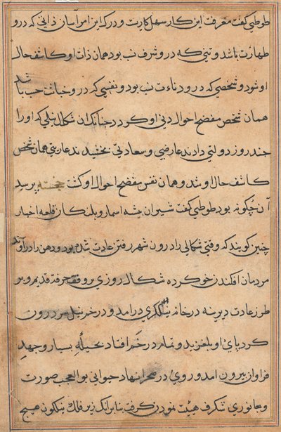 Página de Cuentos de un loro Tuti-nama: página de texto, c. 1560 de Unbekannt