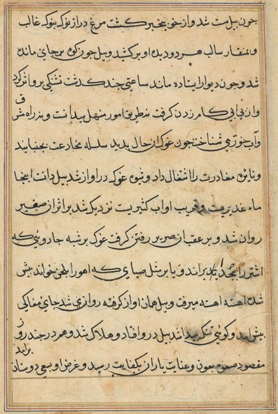 Página de Cuentos de un loro Tuti-nama: página de texto, c. 1560 de Unbekannt