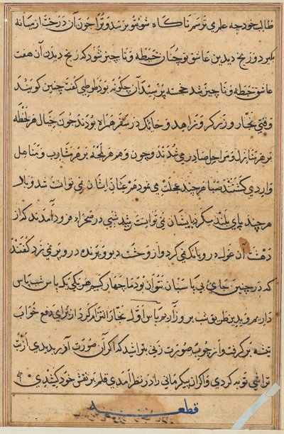 Página de Cuentos de un loro Tuti-nama: página de texto, c. 1560 de Unbekannt