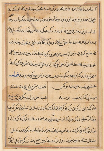 Página de Cuentos de un Loro Tuti-nama: página de texto, c. 1560 de Unbekannt