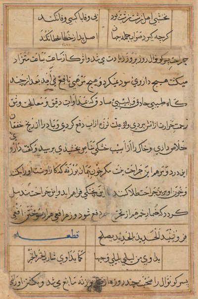 Página de Cuentos de un loro Tuti-nama: página de texto, c. 1560 de Unbekannt