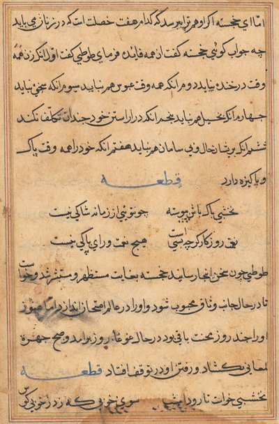 Página de Cuentos de un Loro Tuti-nama: página de texto, c. 1560 de Unbekannt