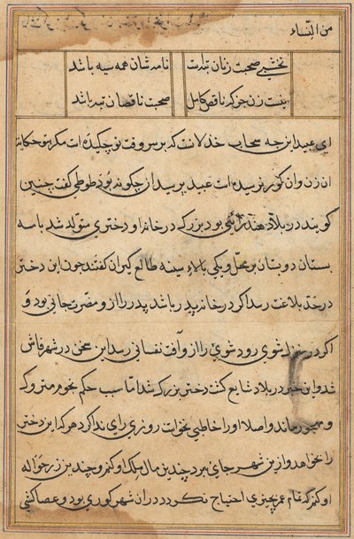 Página de Cuentos de un Loro Tuti-nama: página de texto, c. 1560 de Unbekannt