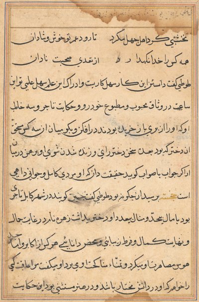 Página de Cuentos de un Loro Tuti-nama: página de texto, c. 1560 de Unbekannt