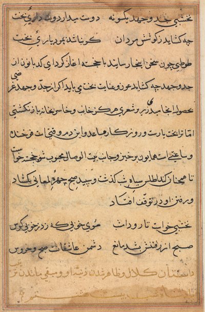 Página de Cuentos de un loro Tuti-nama: página de texto, c. 1560 de Unbekannt
