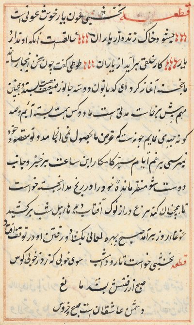 Página de Cuentos de un loro Tuti-nama: página de texto, c. 1560 de Unbekannt