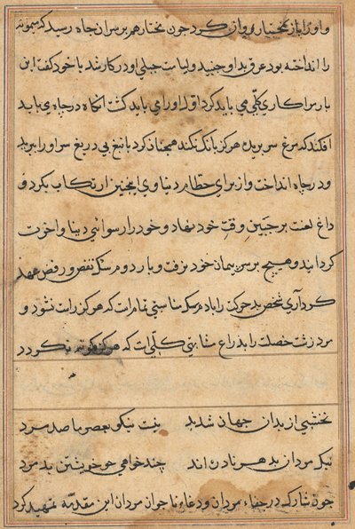 Página de Cuentos de un loro Tuti-nama: página de texto, c. 1560 de Unbekannt