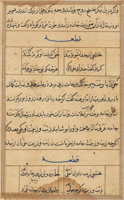 Página de Cuentos de un loro Tuti-nama: página de texto, c. 1560 de Unbekannt