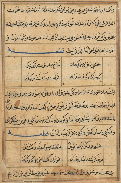 Página de Cuentos de un loro Tuti-nama: página de texto, c. 1560 de Unbekannt