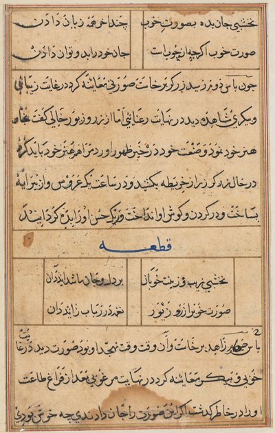 Página de Cuentos de un loro Tuti-nama: página de texto, c. 1560 de Unbekannt