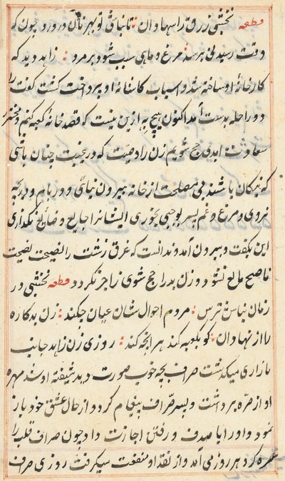 Página de Cuentos de un Loro Tuti-nama: página de texto, c. 1560 de Unbekannt