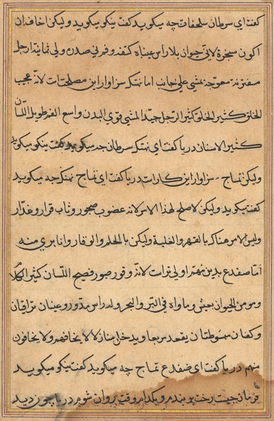 Página de Cuentos de un Loro Tuti-nama: página de texto, c. 1560 de Unbekannt
