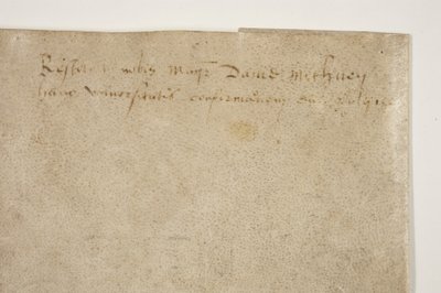 Bula papal confirmando la carta del obispo Henry Wardlaw, verso de Unbekannt