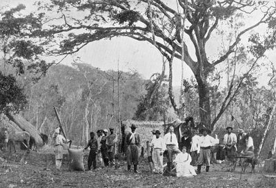 Recolección de té paraguayo, Paraguay de Unbekannt