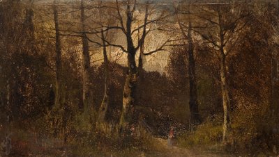 Camino a través de un bosque de Unbekannt