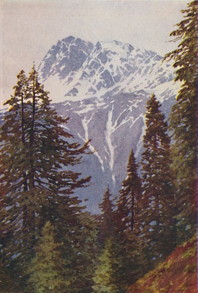 Pico en el Himalaya, 1924 de Unbekannt