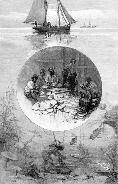 Pesquería de perlas, Estrecho de Torres, Australia, 1886 de Unbekannt