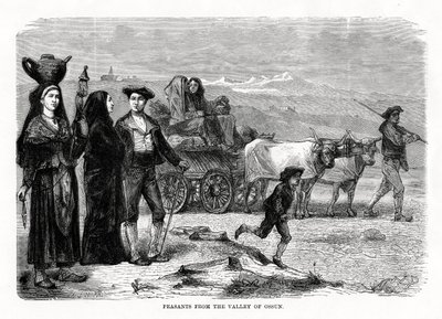 Campesinos del valle de Ossun, Francia, 1879 de Unbekannt