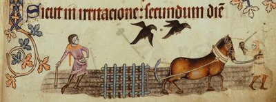 Campesinos arando del Salterio de Luttrell, ca 1330 de Unbekannt
