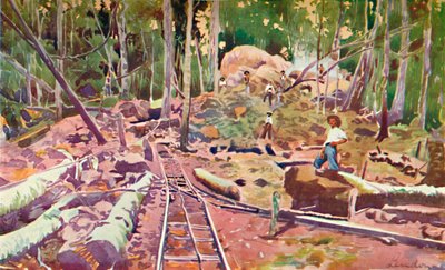 Penetrando la selva amazónica - Ferrocarril Madeira-Mamoré, 1914 de Unbekannt