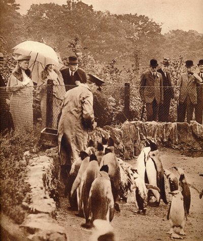 Pingüinos desfilando para el Rey, 1934 1935 de Unbekannt