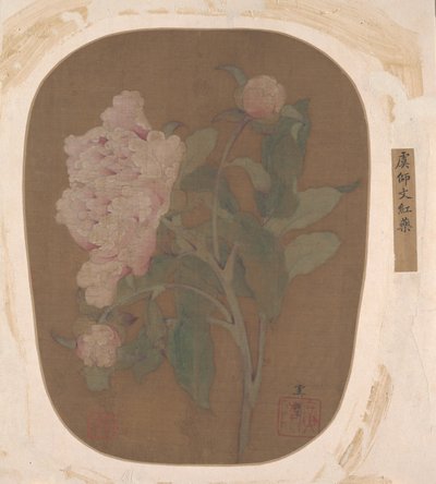 Flor de peonía y hojas de Unbekannt