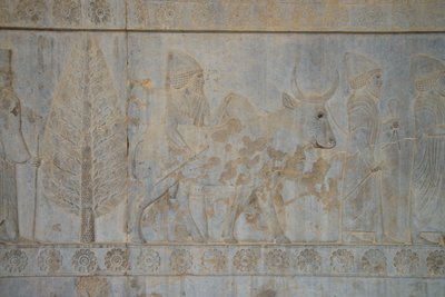 Persépolis, Irán de Unbekannt