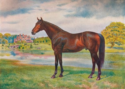 Caqui, c. 1905-1910 de Unbekannt